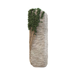 Realistic stone letters with ivy, isolated on a white background. 3d image