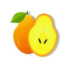 Vector illustration of a yellow pear. Fruit