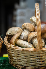 Mushrooms in a basket