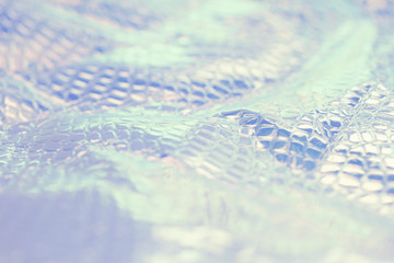 Blurred light rainbow crumpled holographic background with a reptile skin texture in blue toned.