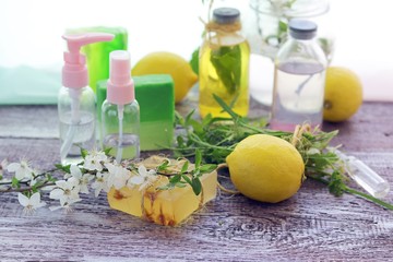 Soap, antiseptic liquid, healthy herbs, aromatic oil for hygienic procedures, natural cosmetics, home relaxation