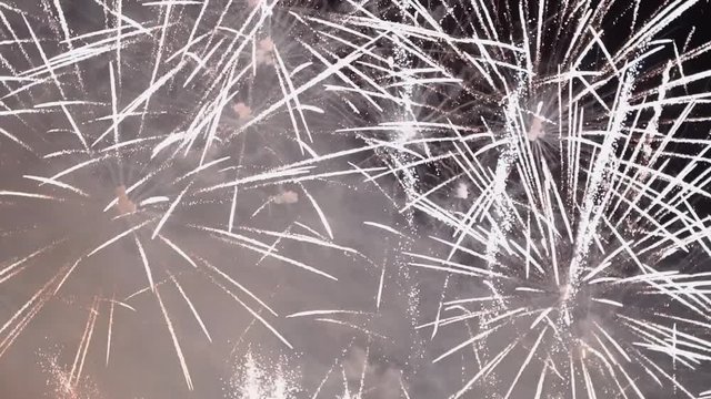 Fireworks exploding in the night sky
