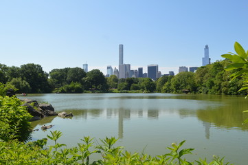 Fototapeta na wymiar Central Park, New york city