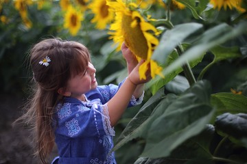 girl, nature, summer, flowers, sunflowers
