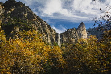 Obraz premium Paradise landscape in Yosemite National Park. Mountains and trees. Adventure in outdoor life.