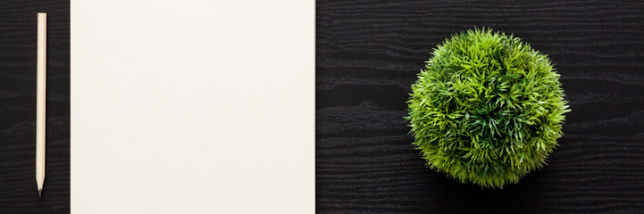 Black desk with an open sketchbook. Mockup. Green ball plant. Panorama