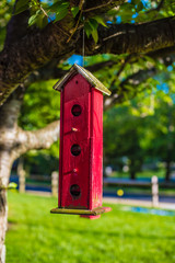 Red, wooden birdhouse.