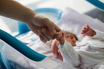 Beautiful newborn baby boy, laying in crib in prenatal hospital - obrazy, fototapety, plakaty