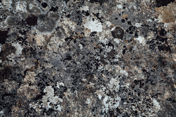 texture of old stone different shades as background