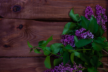 Purple Lilac flowers with fresh green leaves on brown wooden background selective focus.Dark and moody spring summer backdrop. Cotrasting low key colors, nature banner copy space. Greeting card mockup