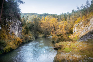 River Hornad in the Slovak paradise at autumn