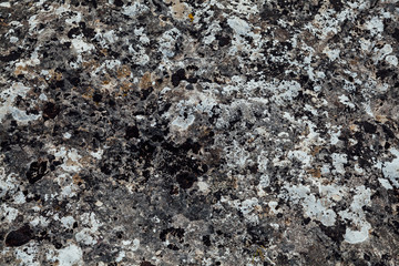 texture of old stone different shades as background