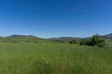 Green rolling pasture blue sky and mountains