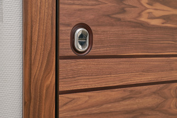 metal entrance door with walnut veneer finish