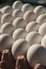 Fotos de huevos organicos 