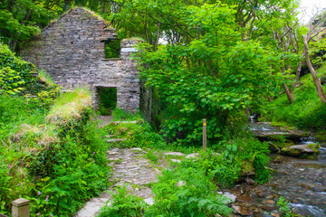 Small valley near St. Nectan’s Glen in Cornwall, UK