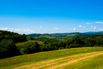 Obraz premium green meadows and blue skies