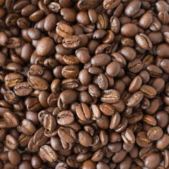 Kaffeebohnen Close Up