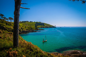 Green coastline at the Roseland Heritage Coast in Cornwall, UK