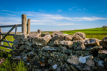 Walls and flowers at the Lizard Point in Cornwall, UK