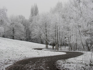 Camino en medio de la nieve