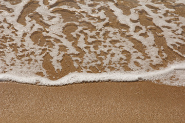 Surf the waves on a sandy ocean beach