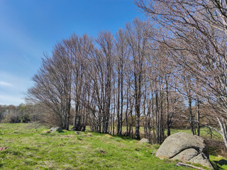 Spring view of Vitosha Mountain,  Bulgaria