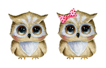 Watercolor illustration of cute cartoon owls boy and girl set isolated on white background