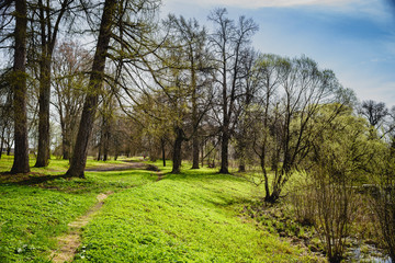 spring, park