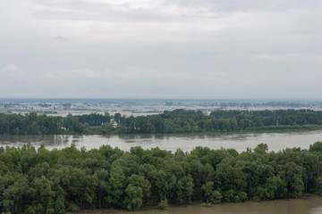 Spilling river in a green forest natural background