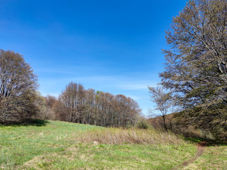 Obraz premium Spring view of Vitosha Mountain, Bulgaria