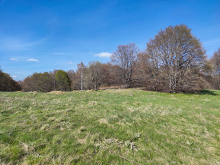 Spring view of Vitosha Mountain,  Bulgaria