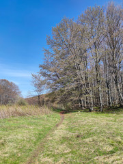 Spring view of Vitosha Mountain,  Bulgaria