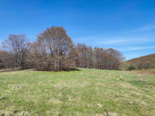 Obraz premium Spring view of Vitosha Mountain, Bulgaria