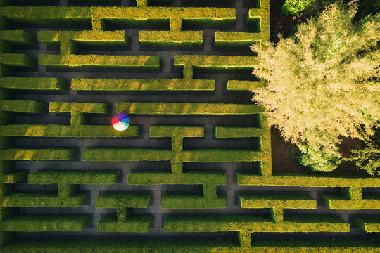 Green labyrinth in garden geometrical symmetry maze rainbow umbrella Aerial drone view