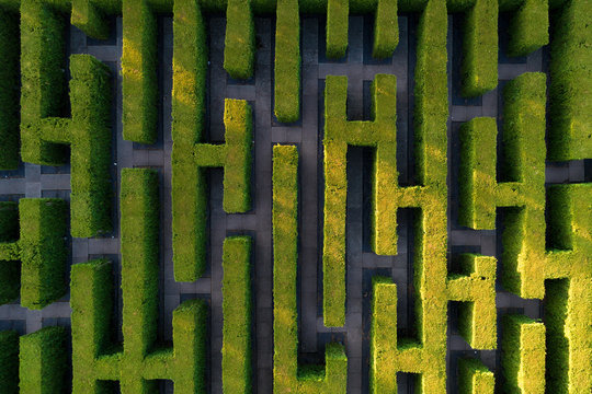 Green labyrinth in garden geometrical symmetry maze Aerial drone view