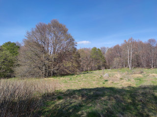 Spring view of Vitosha Mountain,  Bulgaria