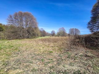 Obraz premium Spring view of Vitosha Mountain, Bulgaria