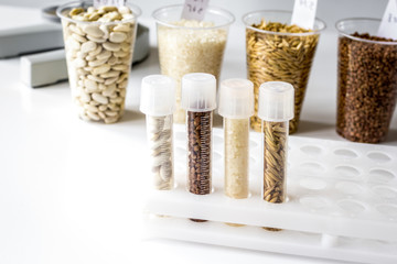 concept healthy food inspection in laboratory no one
