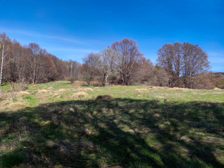 Spring view of Vitosha Mountain,  Bulgaria