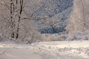 Bieszczady Szlak Zima