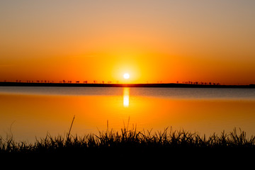 Obraz premium Orange sunset on the lake. The sun sets on the horizon. Grass silhouette
