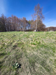 Spring view of Vitosha Mountain,  Bulgaria