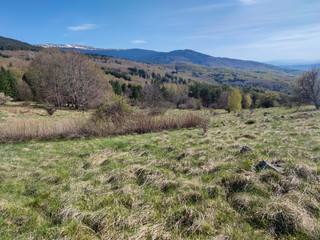 Spring view of Vitosha Mountain,  Bulgaria
