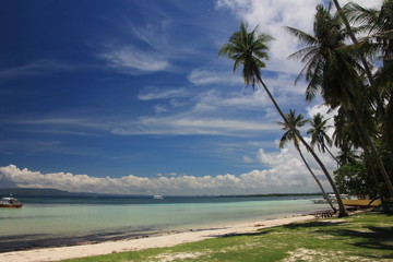 Panglao Beach 