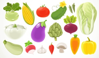 Set of different fresh vegetables Isolated on a white background