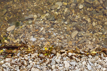 Roll Kiesel an einem Bachbett halb im Wasser