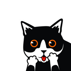 Cute Black and White Cat Amazed Face Vector Illustration - Vector