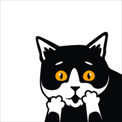 Cute Black and White Cat Shocked Face Vector Illustration - Vector