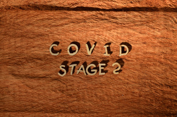 letters made of wood that are cut and arranged into a covid writing on a fabric made of fibrous bark